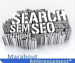 Pourquoi un Référenceur propose-t-il des formations 
au Référencement ?
