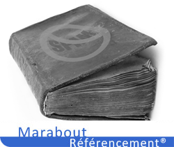 Dénoncer son site avec un Spam Report